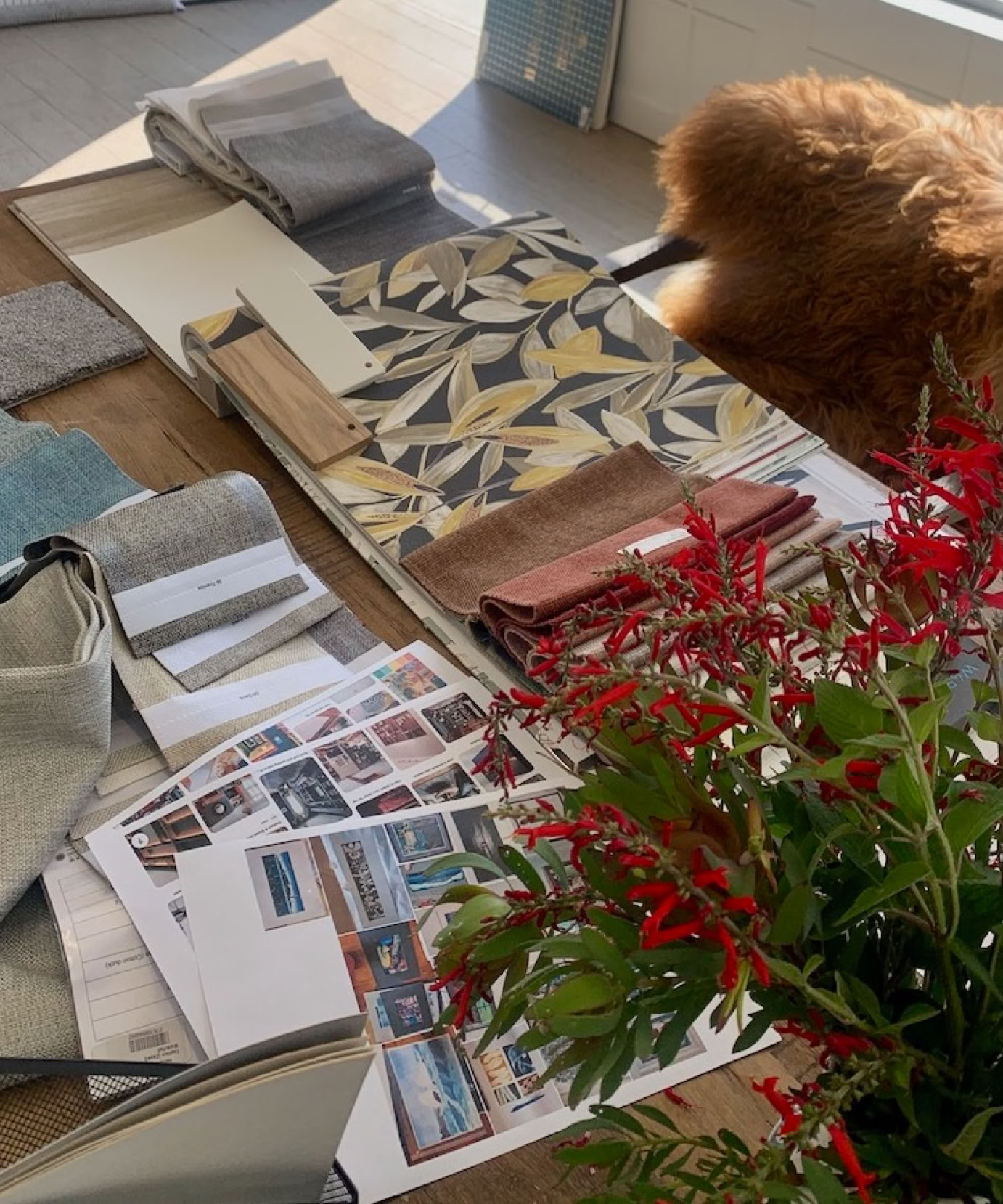 Studio 28 Interio Design Wellington Zealand. Creating wow interiors that are easy on the eye. Kitchen showing fridge, cabinetry and digital printed glass splashback